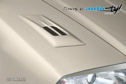 Auto tuning: Hood expiration ll. - for paint