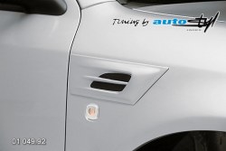 Auto tuning: Hood expiration small IV.  - for paint