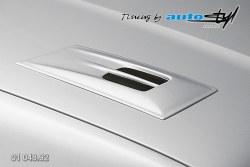 Auto tuning: Hood expiration ll. - for paint