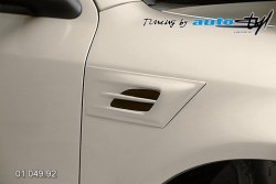 Auto tuning: Hood expiration small - for paint