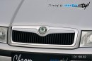 Front grille - for paint